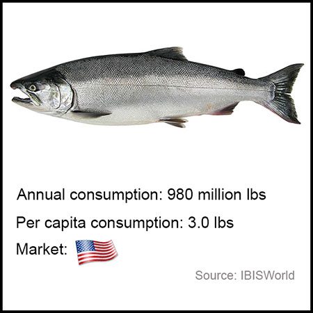 coho salmon1 coho salmon aquabanq