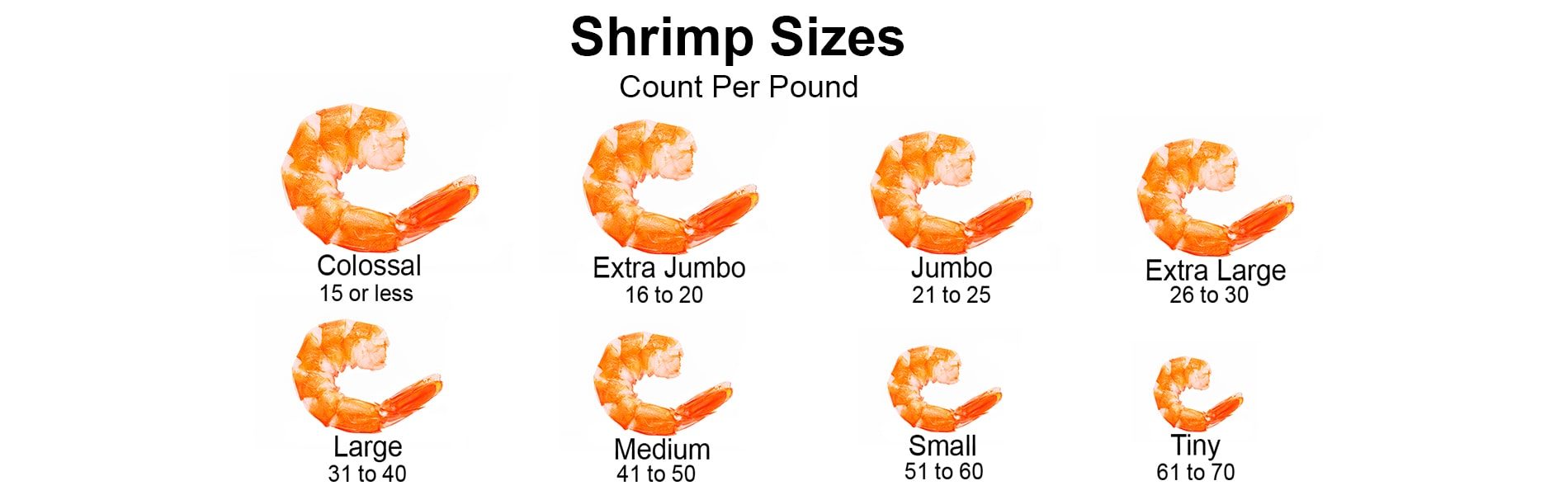 Quality shrimp farmed in West Virginia - AQUABANQ